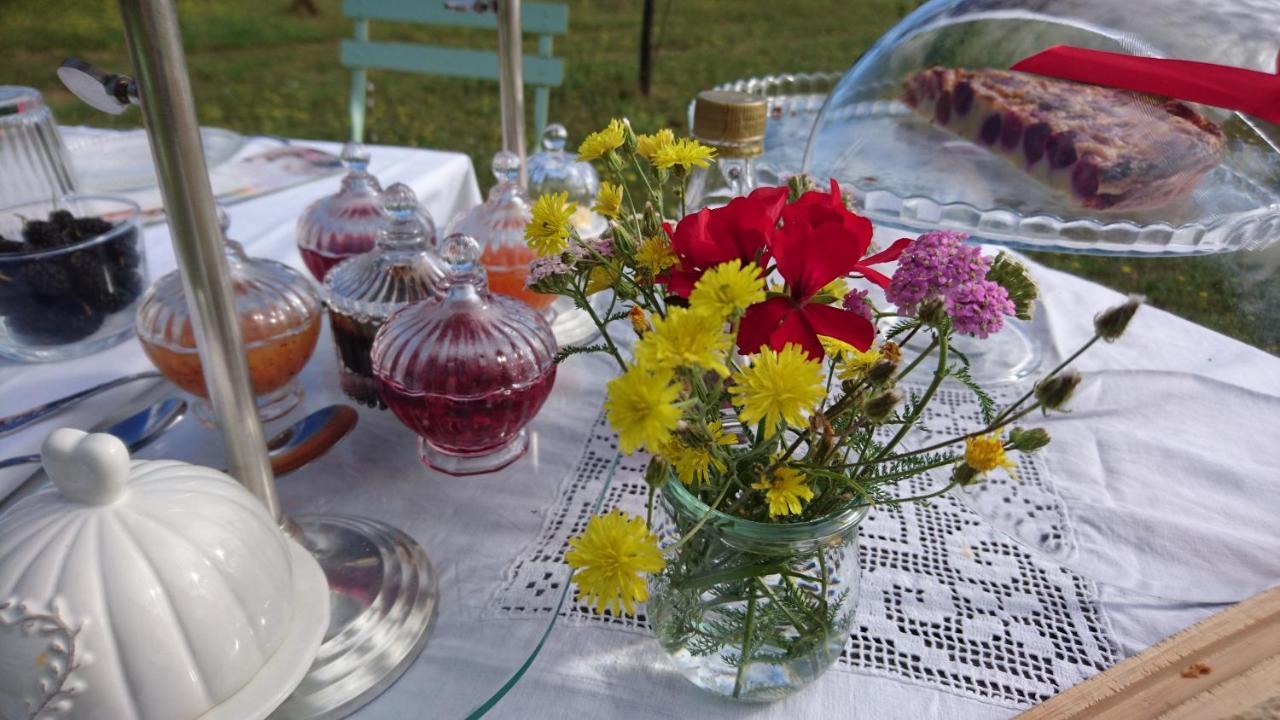 Bed and Breakfast l'Ecrin de Vert Saint-Alban-du-Rhône Zimmer foto